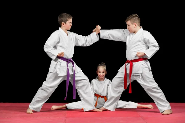 Grupo niños Karate artes marciales —  Fotos de Stock