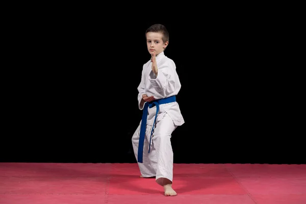 Retrato de un niño de karate en kimono listo para luchar aislado sobre fondo negro — Foto de Stock