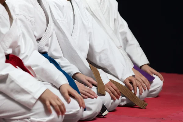 Young, beautiful, successful multi ethical karate kids in karate position. — Stock Photo, Image