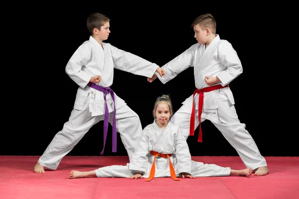 Çocuklara Karate dövüş sanatları grubu — Stok fotoğraf