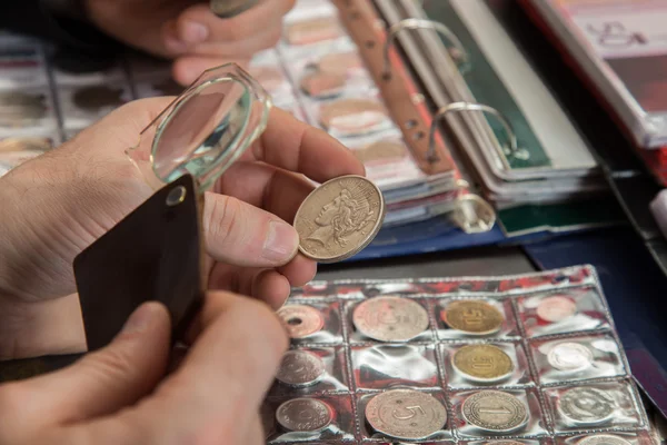 Zwei Numismatiker untersuchen Münzsammlung — Stockfoto