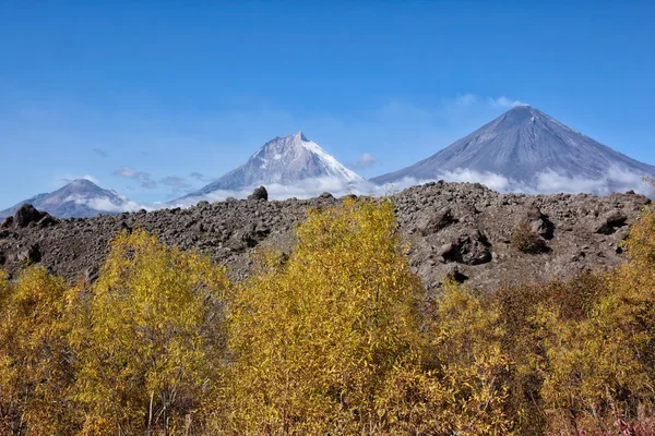 Вулкани Bezymianny(2880m,active) Kamen(4585m) КЛЮЧЕВСЬКОГО (active4800m) — стокове фото