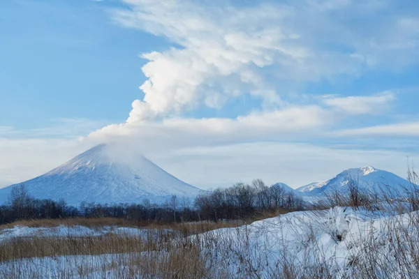 Volcano eruption. Russia,Kamchatka Peninsula.The volcano of Klyuchevskaya sopka. (4800 m) is the highest active volcano of Eurasia.