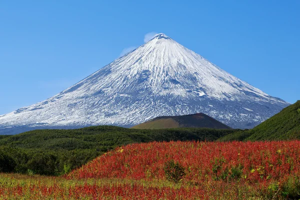 Volcan Klyuchevskaya Hill . — Photo