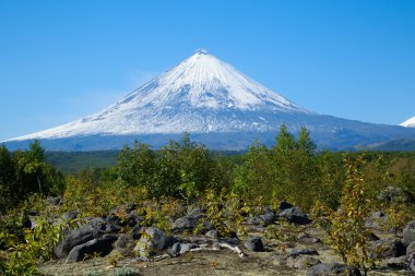 Klyuchevskaya Sopka Volcano. Kamchatka.