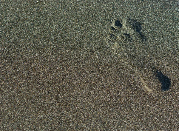 Sommer-Fußstapfen im Sand Stockbild