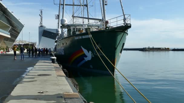 Burgas Bulgaria June 2019 Greenpeace Rainbow Warrior Sailing Ship Port — Stock Video