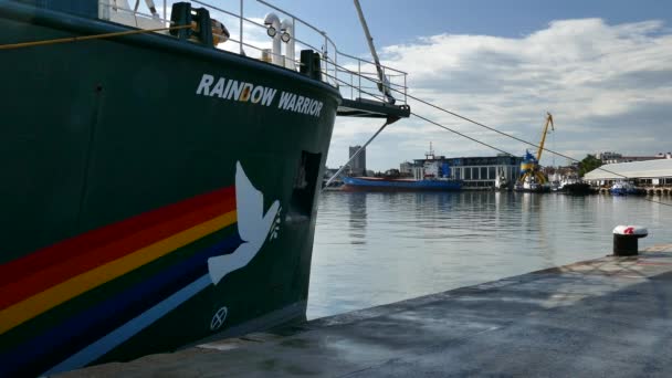 Burgas Bulgaria June 2019 Greenpeace Rainbow Warrior Sailing Ship Port — Stock Video