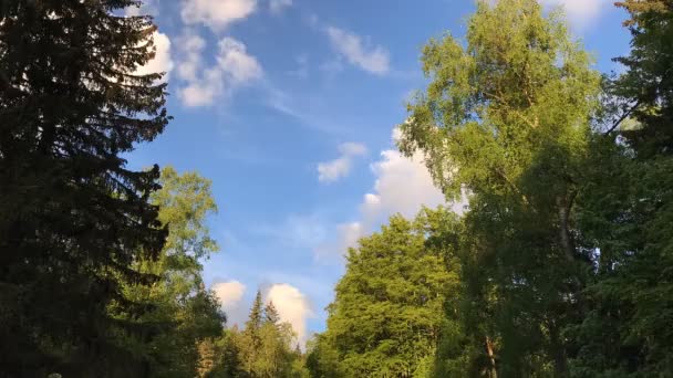 Φυσικό Πάρκο Vitosha Κοντά Στη Σόφια Βουλγαρία Σύννεφο Της Περιοχής — Αρχείο Βίντεο