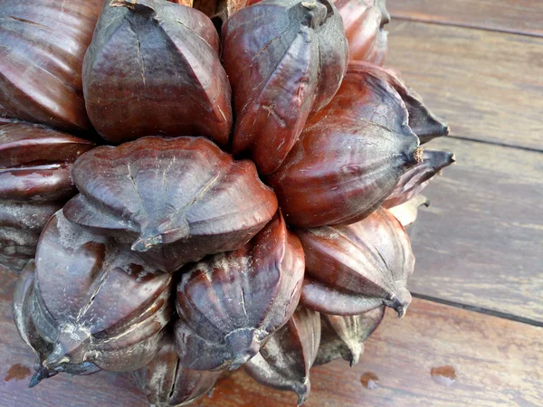 Nypa palm seed, Nypa, Atap palm, Nipa palm, Mangrove palm, Nypa fruticans Wurmb on wood table — Stock Photo, Image