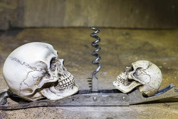 나무 테이블에 병 오프너와 두개골 인간 - 정물 — 스톡 사진