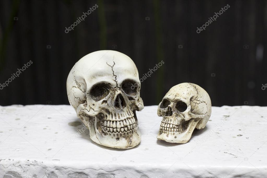 Still life photography with human skull