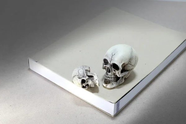 Bodegón con un cráneo y libro sobre mesa de madera — Foto de Stock