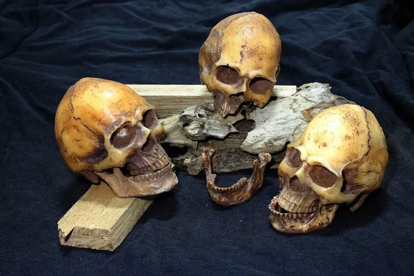 Cráneo con cuchillos clásicos y madera sobre fondo negro - Cuchillos Clásicos estilo Bodegón — Foto de Stock