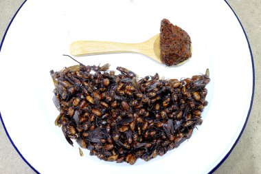 yeraltı karıncalar, Tay, yerel mutfağı Kuzey tarzı yemek, Lanna tarzı yemek Kuzey Tayland.