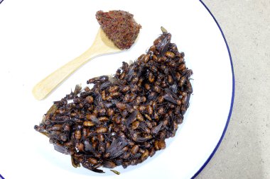 yeraltı karıncalar, Tay, yerel mutfağı Kuzey tarzı yemek, Lanna tarzı yemek Kuzey Tayland.