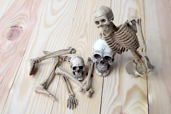 Crânio humano e esqueleto humano no fundo de madeira de pinho — Fotografia de Stock