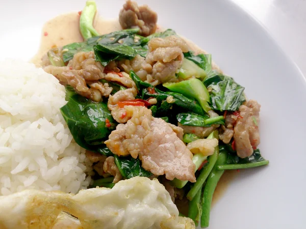 Frango Frito Com Kale Thai Deliciosa Comida Com Arroz Ovo — Fotografia de Stock