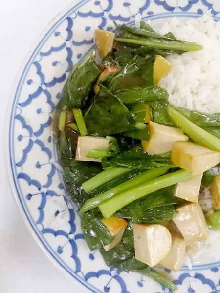 Tofu frito con brócoli chino y arroz jazmín tailandés, comida vegetariana, comida saludable —  Fotos de Stock