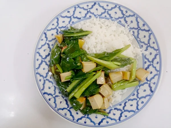 Fried tofu with Chinese broccoli &  thai jasmine rice,  Vegetarian Food, healthy food — Stock Photo, Image
