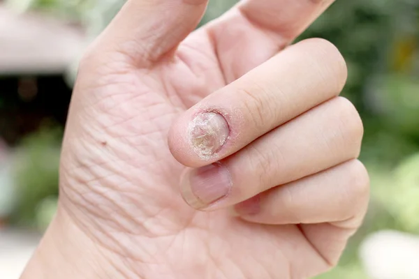 Onlayn BDSM komikslari