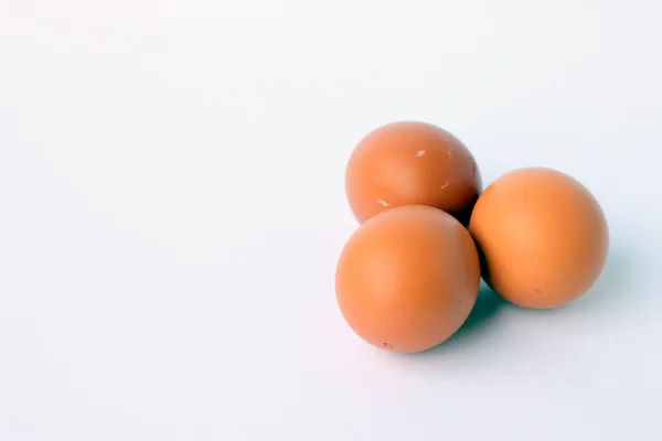 棕色鸡蛋在白色背景上 — 图库照片