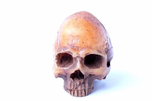 Calavera humana aislada sobre fondo blanco — Foto de Stock