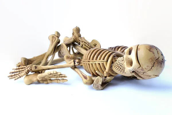 Esqueleto humano isolado sobre fundo branco — Fotografia de Stock