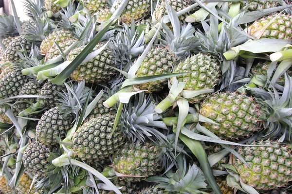 Spousta ovoce ananas ve farmě — Stock fotografie