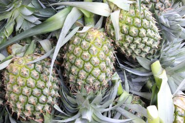 Ananas Meyve bir gruptaki bir sürü