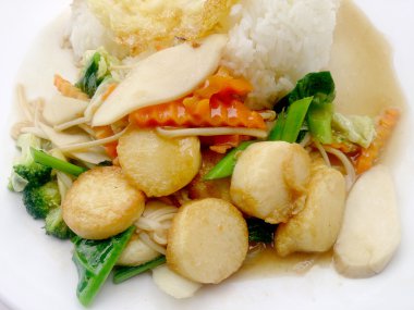 Karıştırın kızarmış Tofu Çin tarzı, derin kızarmış Tofu ile et suyu sosu, tofu beyaz arka plan üzerinde beyaz plaka karışık sebze ile karıştırın kızarmış. Vejetaryen yiyecekler, sağlıklı gıda.