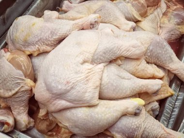 Bir kasapta satılık taze tavuklar.