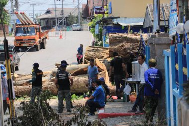 Lampang, Tayland, 21 Mayıs 2021: Çalışanlar caddeleri temizliyor. Anubanngao (Panunuyom) Okulunun önündeki Banmai Phahonyothin Banmai yolunda büyük bir ağaç devrildi.