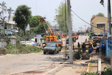 Lampang, Tayland, 21 Mayıs 2021: Çalışanlar caddeleri temizliyor. Anubanngao (Panunuyom) Okulunun önündeki Banmai Phahonyothin Banmai yolunda büyük bir ağaç devrildi.