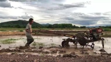 LAMPANG, THAILAND - 18 Temmuz 2021: Akşamları pirinç tarlasında pirinç taşıyan Asyalı çiftçi traktörü, çiftçiler Tayland 'ın kuzeyinde ekim için hazırlık yapıyorlardı..