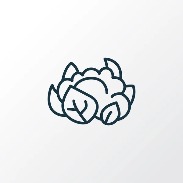 Symbole de ligne d'icône de chou-fleur. Élément de chou isolé de qualité Premium dans un style branché. — Image vectorielle