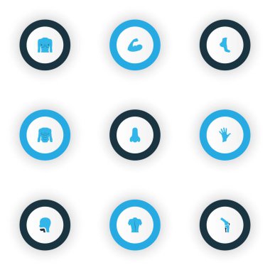 Kol, eklem, sırt ve diğer vücut elementleriyle renklendirilmiş simgeler. İzole vektör illüstrasyon bölüm simgeleri.