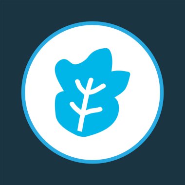 Salata renkli sembol. Kaliteli kalite marul ögesi modada izole edildi.