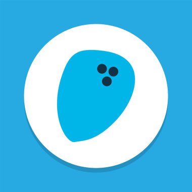 Hindistan cevizi renkli sembol. Moda tarzında birinci kalite izole edilmiş palmiye meyvesi ögesi.