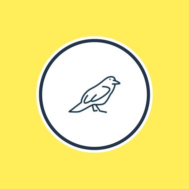 Vector illustration of raven icon line. Beautiful zoology element also can be used as crow icon element.
