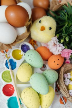 Canlı bir Paskalya yaratıcı düzeneği, doğal ve renkli boyanmış yumurtalar, parlak boyalı bir sanat paleti, ve sevimli sarı piliçler. Pembe karanfiller ve küçük bir yuva bu sanatsal tatil kompozisyonuna şenlikli bir bahar dokunuşu ekler. Üst görünüm.