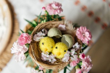 Yumurta kabuklu küçük bir yuvada iki sevimli oyuncak yavrunun yer aldığı neşeli Paskalya 'da hayat devam ediyor. Sahne benekli bıldırcın yumurtaları ve beyaz işlemeli masa örtüsü üzerinde taze pembe karanfil çiçekleriyle çevrilidir. Sıcak, aydınlık ve sıcak bir tatil.