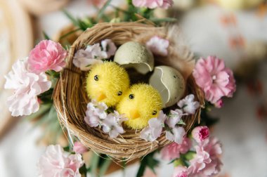 Yumurta kabuklu küçük bir yuvada iki sevimli oyuncak yavrunun yer aldığı neşeli Paskalya 'da hayat devam ediyor. Sahne benekli bıldırcın yumurtaları ve beyaz işlemeli masa örtüsü üzerinde taze pembe karanfil çiçekleriyle çevrilidir. Sıcak, aydınlık ve sıcak bir tatil.