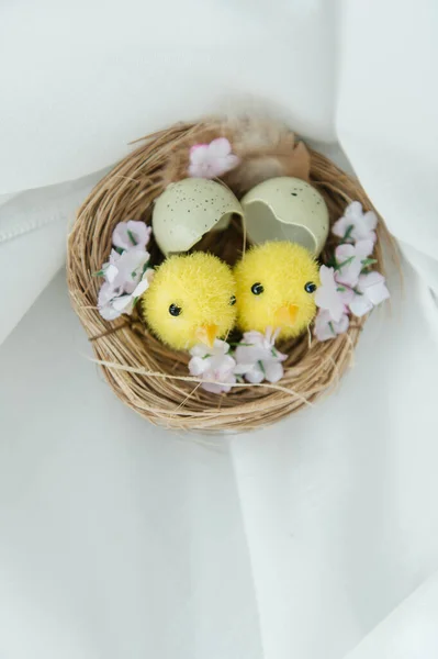 Yumurta kabuklu küçük bir yuvada iki sevimli oyuncak yavrunun yer aldığı neşeli Paskalya 'da hayat devam ediyor. Sahne benekli bıldırcın yumurtaları ve beyaz işlemeli masa örtüsü üzerinde taze pembe karanfil çiçekleriyle çevrilidir. Sıcak, aydınlık ve sıcak bir tatil.
