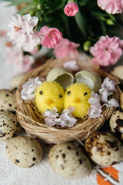 Yumurta kabuklu küçük bir yuvada iki sevimli oyuncak yavrunun yer aldığı neşeli Paskalya 'da hayat devam ediyor. Sahne benekli bıldırcın yumurtaları ve beyaz işlemeli masa örtüsü üzerinde taze pembe karanfil çiçekleriyle çevrili..