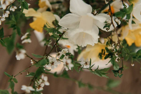 Sarı nergislerin, beyaz narsislerin ve ahşap bir masanın üzerindeki cam vazolarda çiçek açan kiraz dallarının bulunduğu bahar çiçeği kompozisyonu. Paskalya dekorasyonu ve mevsimsel uyanış..