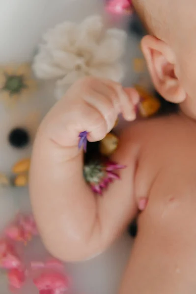 Süt banyosunda küçük mor bir çiçek tutan bir bebeğin minik elinin yakın çekimi..