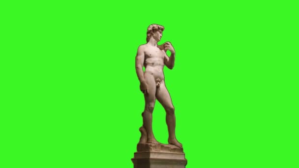 David by Michelangelo on green background — Stock Video