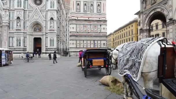 Florence square from white horse carriages — Stock Video