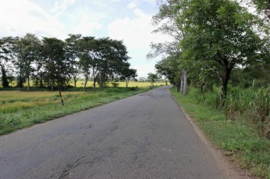 Ağaçları, ormanı ve dağları olan güzel bir dağ yolu.